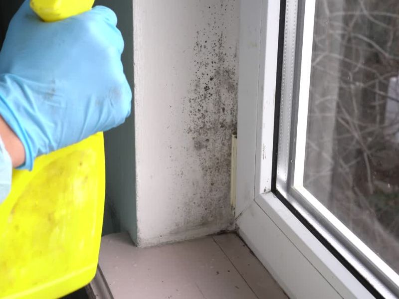 Izbeljivač i amonijak efikasno uklanjaju buđ, ali ih nikada ne mešajte zbog toksičnih isparenja.